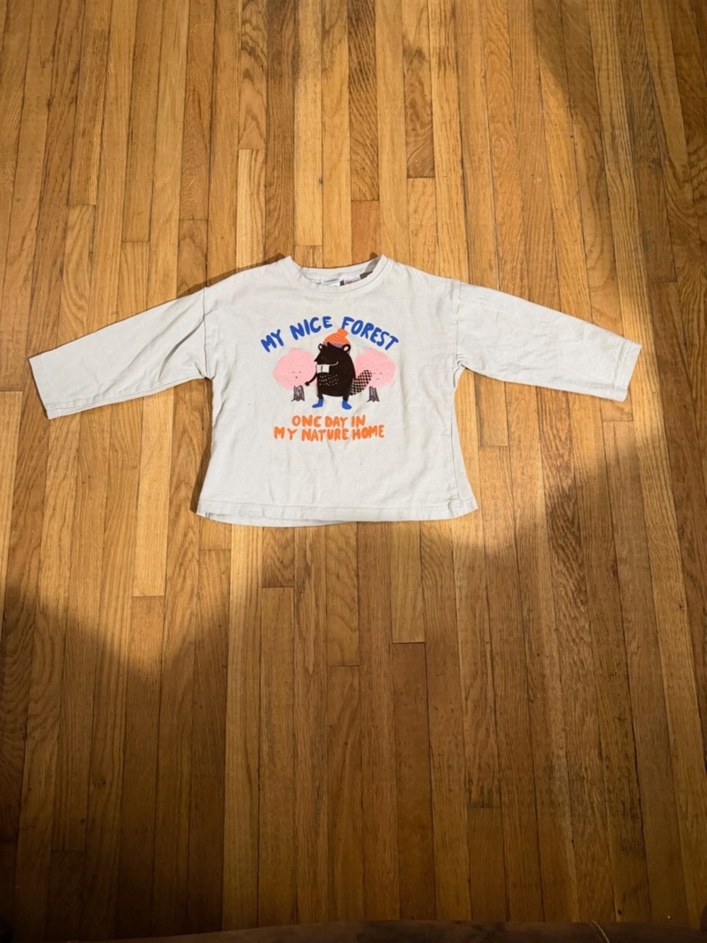 Zara 2/3 Beaver Graphic Top